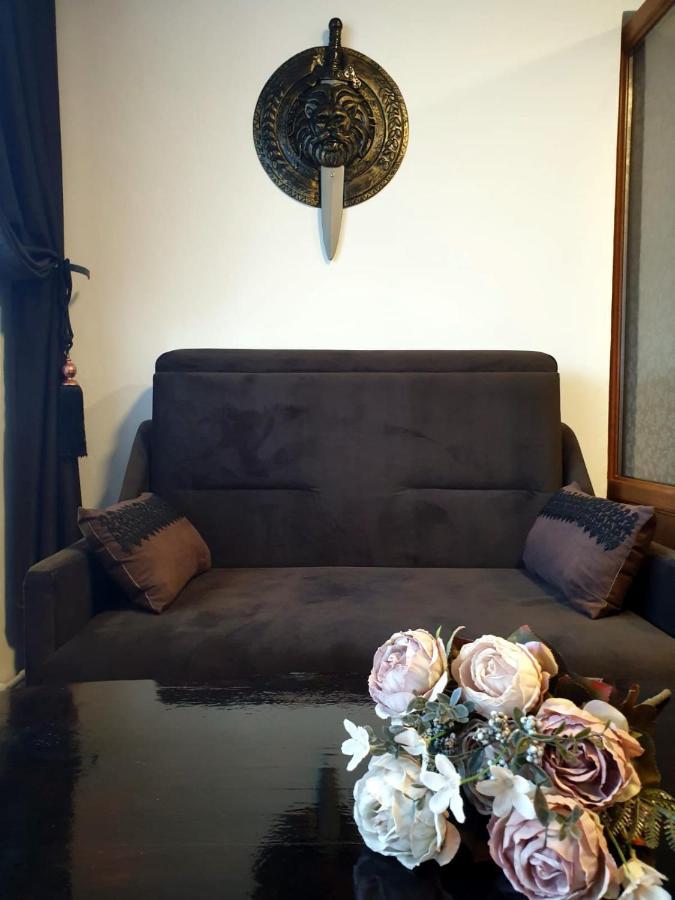 Apartament Medieval 프레데알 외부 사진